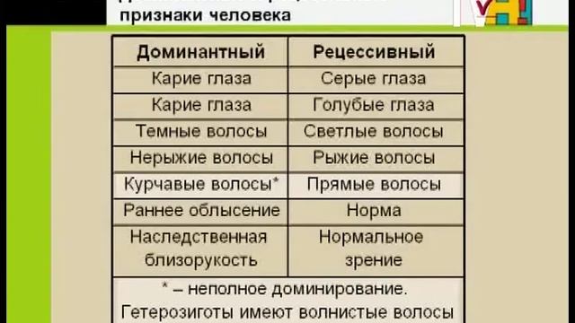 Биология 10 класс. Генетика человека, методы ее изучения смотреть онлайн