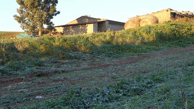 Test Differenziale Posteriore Con Blocco Al 75%