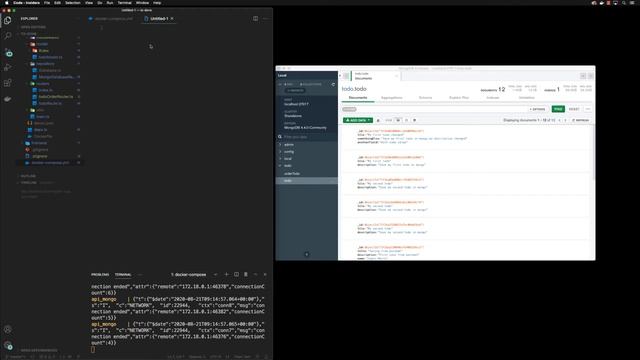 a008 Using MongoDB Compass Updating, Deleting, Cloning and Dropping Collections and Databases смотреть онлайн