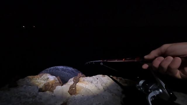 Ночная Рыбалка на Черном Море! НОВАЯ ТЕХНИКА, Ловли Ставриды на Самодур смотреть онлайн