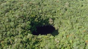 Планета Земля. 4 серия. Документальный фильм о природе