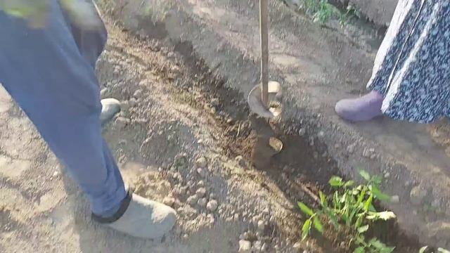 Ремонт обуви. огород. 14.05.2022. глухих. смотреть онлайн