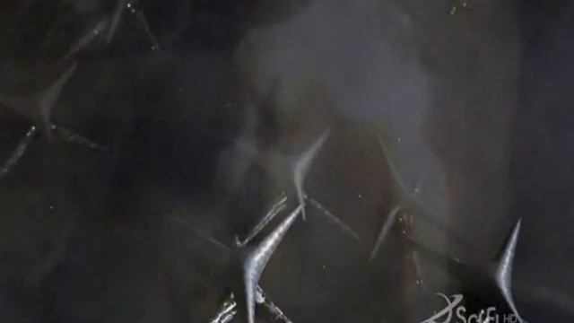 cylons of BSG смотреть онлайн