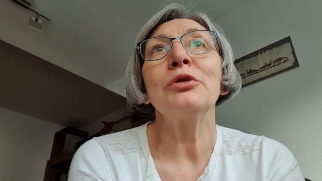 Не люблю гостей без приглашения / Ставим москитную сетку на дверь / Жизнь в Германии смотреть онлайн