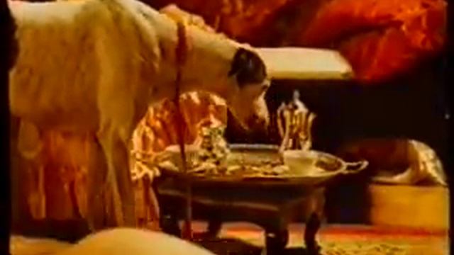 volere volare scena hard смотреть онлайн