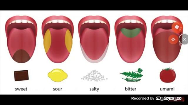 This wallfalls talking(1 to 2) смотреть онлайн