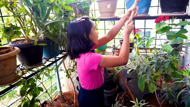 Yes to mom for 24 hours challenge | #LearnWithPari смотреть онлайн