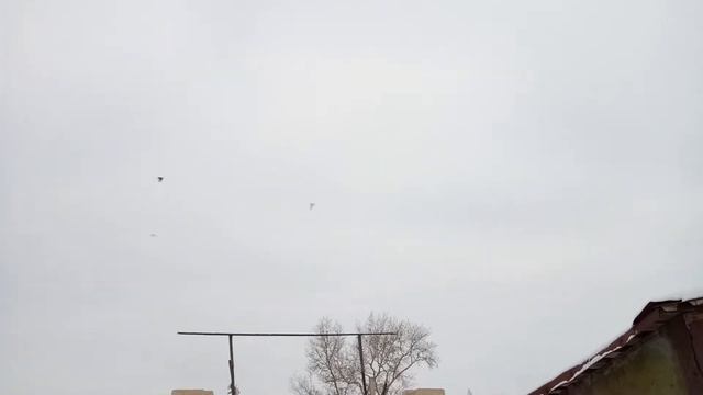 Север КЗ. голуби.взлет. смотреть онлайн