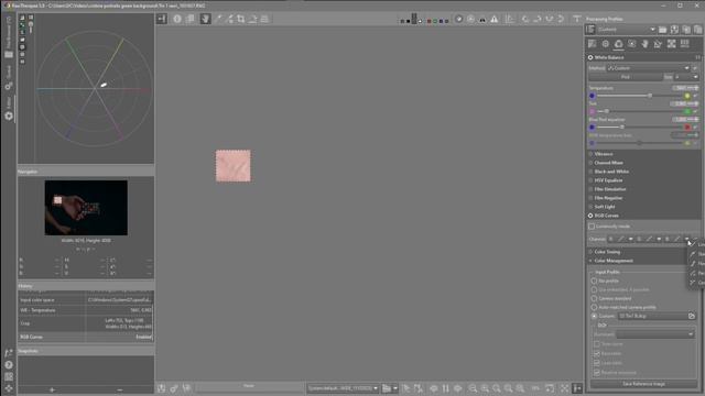 Using a color checker & vector scope in Rawtherapee#Rawtherapee смотреть онлайн