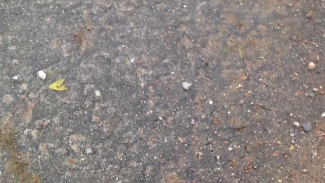 Проезд через ворота Ватцы (Валдай Нижегородская обл.) смотреть онлайн