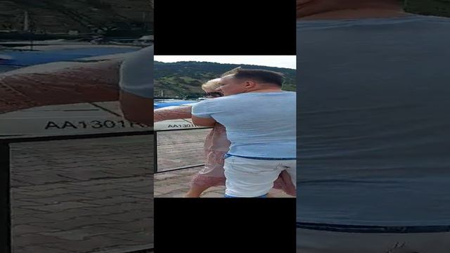 У Чёрного моря смотреть онлайн