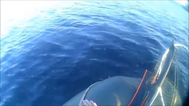 Лен.обл.рыбалка река Свирь,Ровское,Тохатсу зверь мотор, рыбы ноль. 05 09 2017 смотреть онлайн
