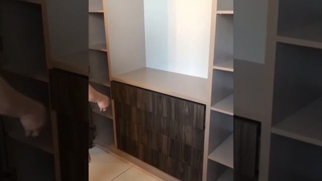 Система Hettich для складных дверей WingLine L смотреть онлайн