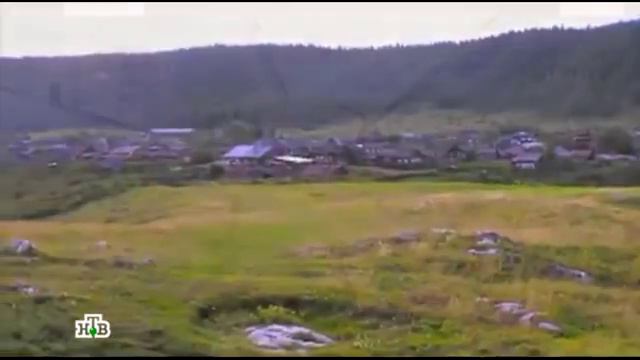 Хочу к Меладзе. Григорий Юрченко. смотреть онлайн