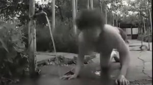 Душевная болезнь ликантропия!