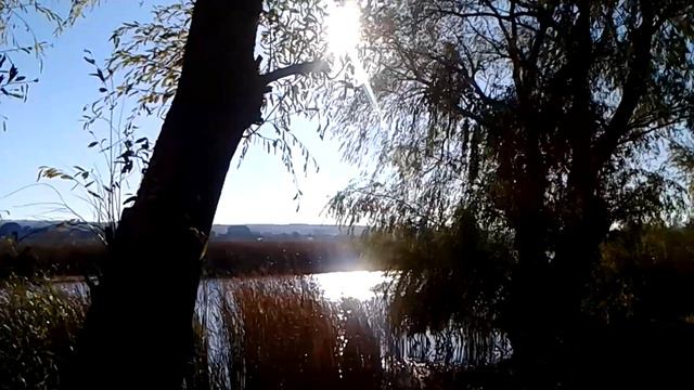 17 октября 2018 г. смотреть онлайн