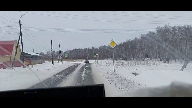Переезжаем в ТЮМЕНЬ!!!!! Кошка переезжать не хочет! смотреть онлайн