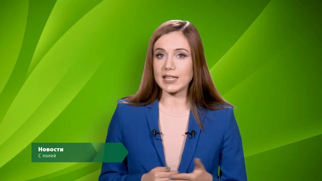 Эконовости, учёные создали инновационные сорбенты на основе наночастиц магнетита. смотреть онлайн