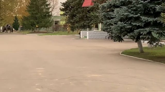 Посещение Таманской мотострелковой дивизии участниками ВПК «Москва город Московский». 05.10.2021 смотреть онлайн