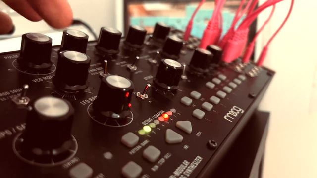 Moog Mother 32 - Melodic Ambient
