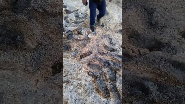 Чола дар панчакент смотреть онлайн