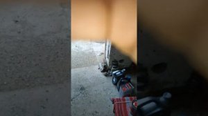 таета прадо 150 об 2.7 пропало довление масла часть 2