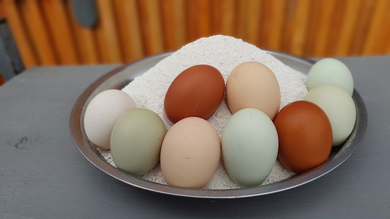 ЕДИНСТВЕННАЯ ПРИЧИНА ПОЧЕМУ КУРЫ НЕ НЕСУТСЯ. смотреть онлайн