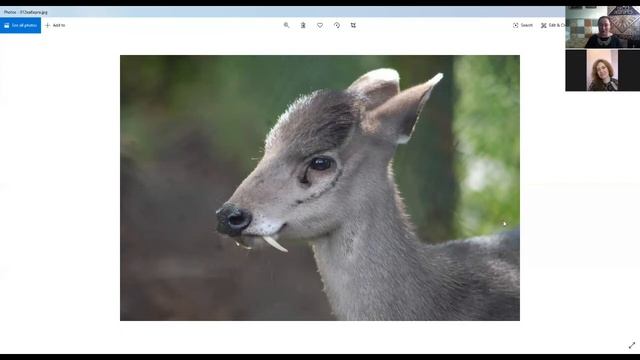 Учебник по Творчеству
