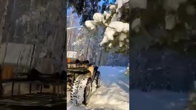 квадромонстры в extremeland смотреть онлайн