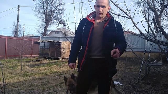 Очумелые ручки! Что делать, сломался телефон! смотреть онлайн