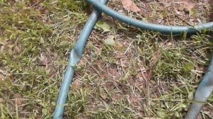 Как распрямить шланг. How to straighten the hose