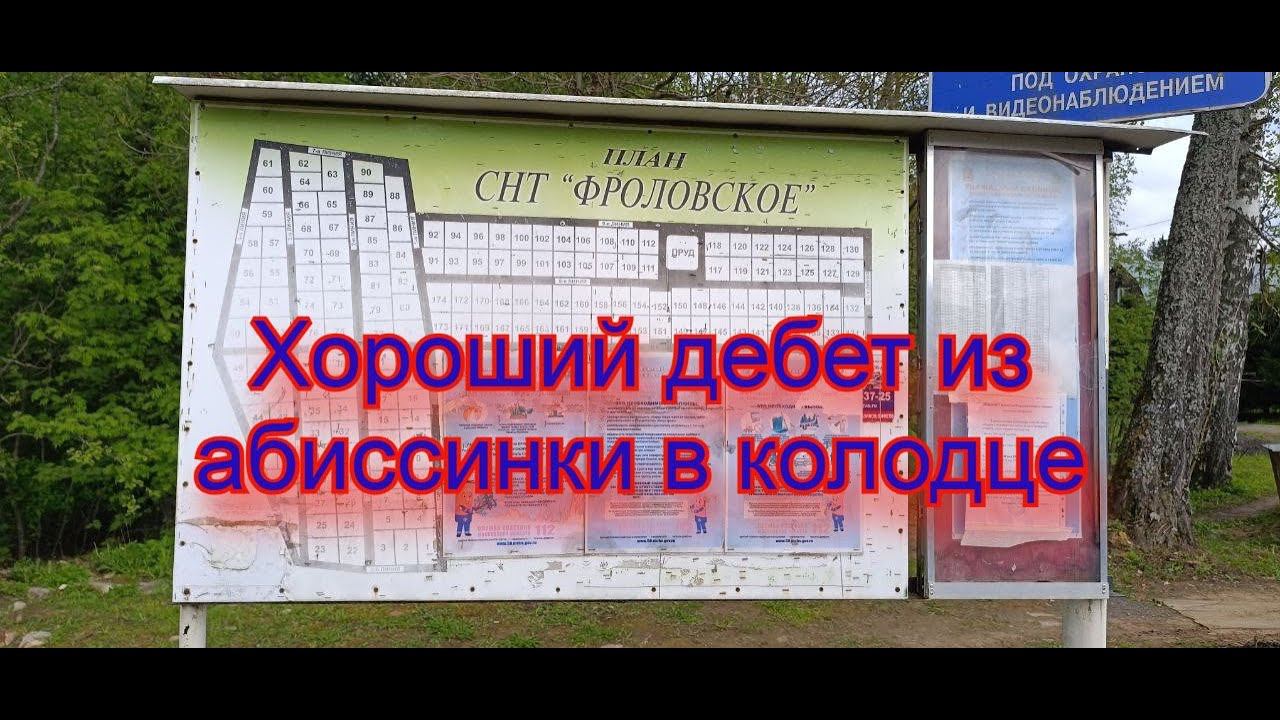 СНТ Фроловское, Поток из абиссинки в колодце очень порадовал заказчиков! смотреть онлайн