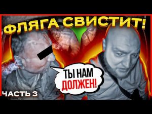 ПАССАЖИР СЛОВИЛ БЕЛОЧКУ В ТАКСИ! [#ЗК №3]