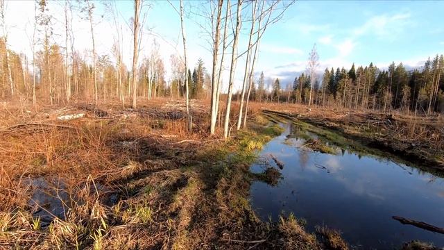 Нива ТРЕВЕЛ. Поехал ИСКАТЬ дорогу к РУИНАМ МОНАСТЫРЯ на берегу ЛЕСНОГО ОЗЕРА! Беседы о РУССКОМ ЛЕСЕ смотреть онлайн