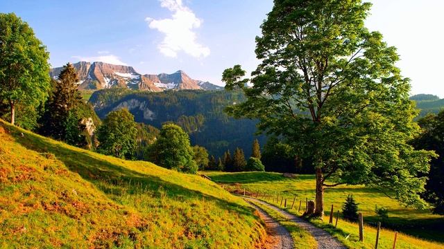 Медитация от безысходности. Медитация исцеления безысходности смотреть онлайн