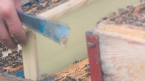 Промышленное пчеловодство в Сибири. Пасека Матюшкиных. Кемерово 2017