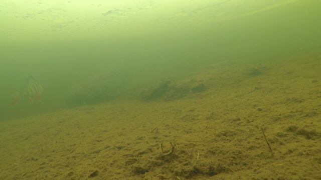 ВЕСЕННЯЯ РЫБАЛКА ЗА ПОЛЯРНЫМ КРУГОМ / SPRING FISHING IN THE ARCTIC CIRCLE смотреть онлайн