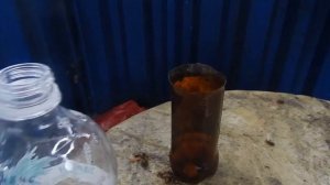 Как уничтожить ШЕРШНЕЙ, ОС.  Нехитрая, очень эффективная ловушка.