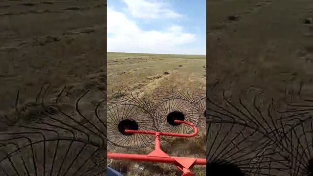 Грабли ворошилки