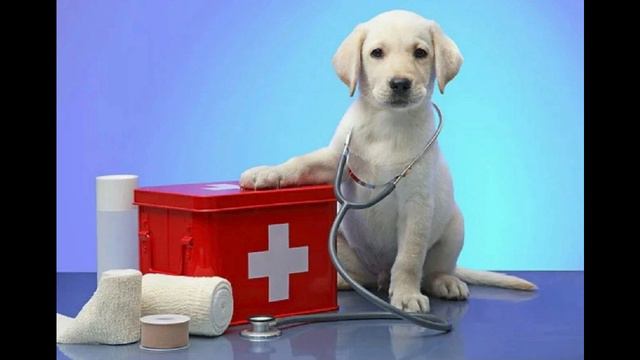 Одорология