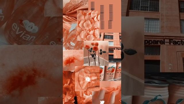 Персиковые обои? смотреть онлайн