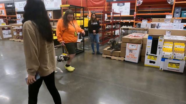 The Complete K9 - 7 Month Old Irish Wolfhound Gets Unstoppable Obedience!