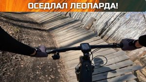Тестирую Twitter Leopard PRO на трассе Кросс кантри Академ XCO Нск | Wheel top EDS OX yq, электро