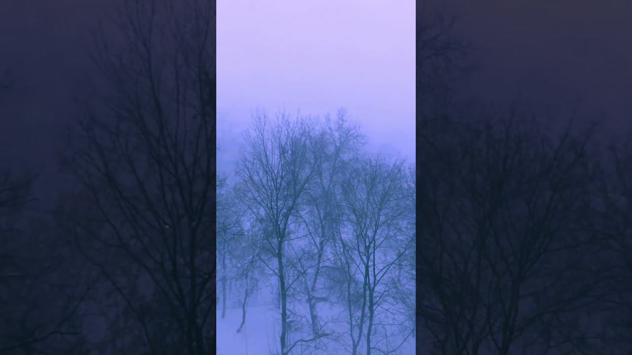 Зима холода Москва 11.01.2024