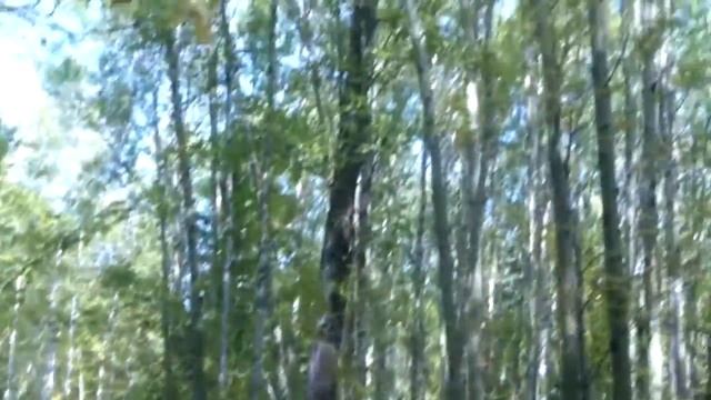 Осенняя охота и грибы р Кузнецовский Восточная Сибирь Иркутская обл 9 сентября 2016 г смотреть онлайн