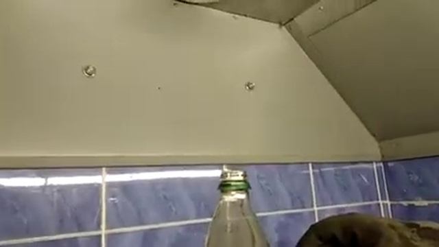 Применение пластифицирующих добавок совместно с нитритом натрия смотреть онлайн