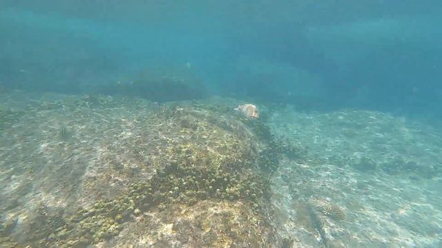 Кристалл Души