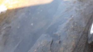 Тойота харриер 1999г.