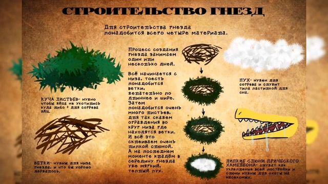 УГОЛОК ФАНТАЗИЙ – Хищные хамелеоны. смотреть онлайн