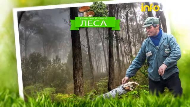 День работников леса | Праздники #2 | Инфоурок смотреть онлайн
